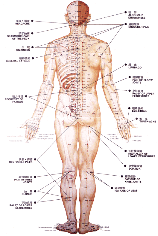 /Acupuncture points, front