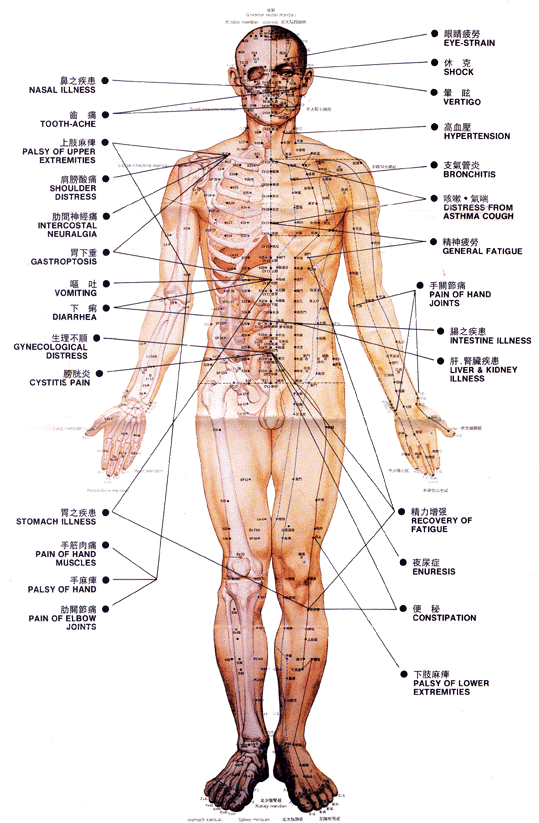 /Acupuncture points, front
